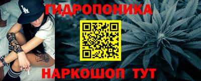 крисы Обнинск