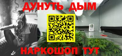 крисы Обнинск