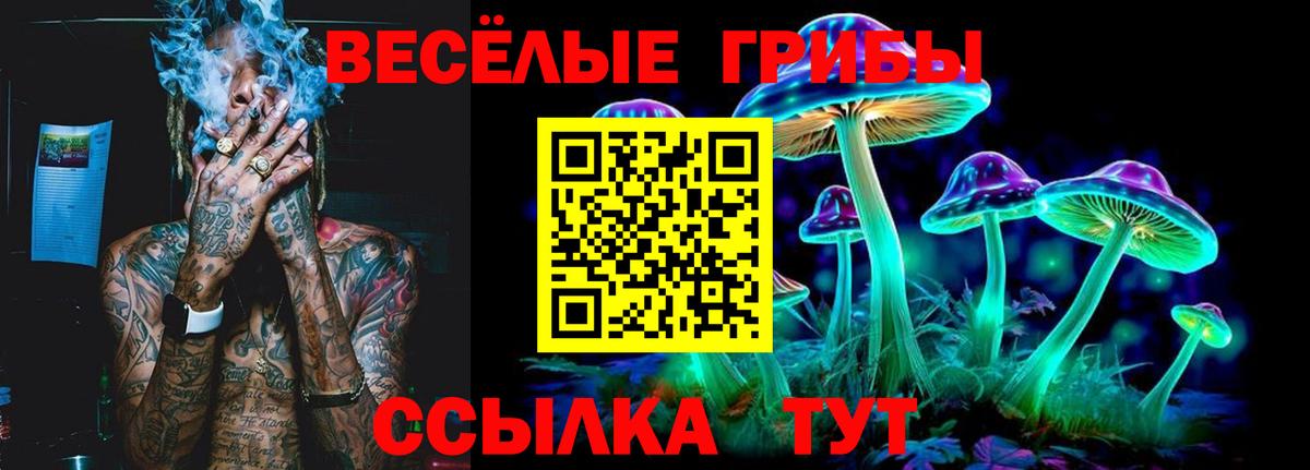 Псилоцибиновые грибы ЛСД  Псилоцибиновые грибы GOLDEN TEACHER  Вход с VPN  Протвино 